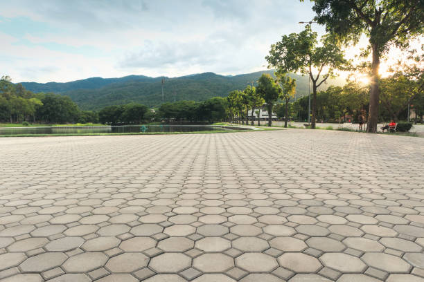 Best Commercial Driveway Pavers  in Dalzell, SC